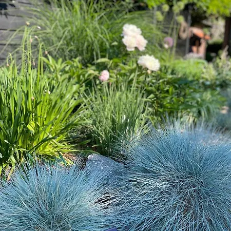 Weberhof-muenster 2 *