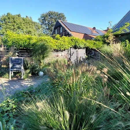 Weberhof-muenster 2 Lägenhet