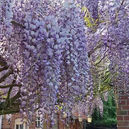 Weberhof-muenster 2 Apartamento