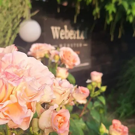 Weberhof-muenster 2 Munique