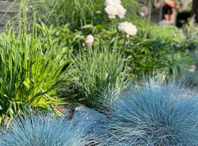 Weberhof-muenster 2 *