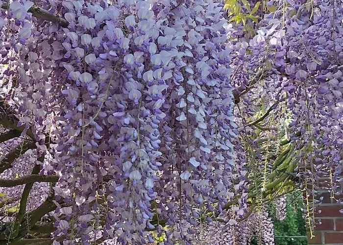 Weberhof-muenster 2 דירה