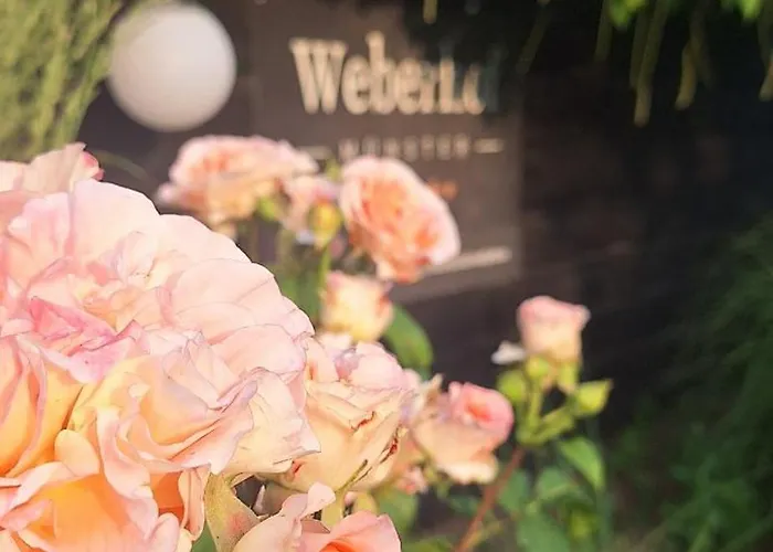 Weberhof-muenster 2 Munique